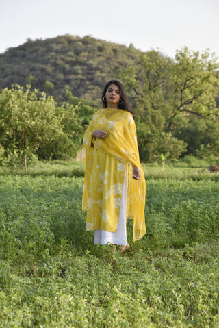 Nuha Kurta Set - Yellow Printed Kurta Set