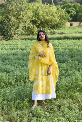 Nuha Kurta Set - Yellow Printed Kurta Set